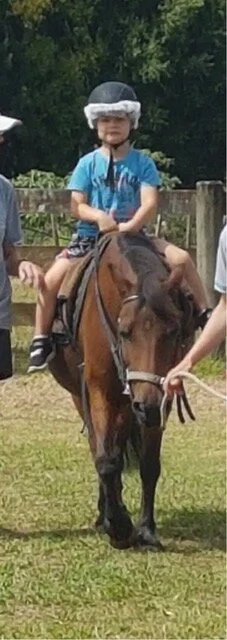Koen+riging+a+horse